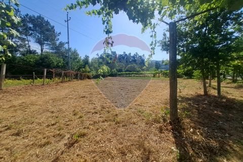 Helårsgrund i Arcos de Valdevez, Viana do Castelo, Arcos de Valdevez - € 56.000 | Ref: 1040-144 - foto 1