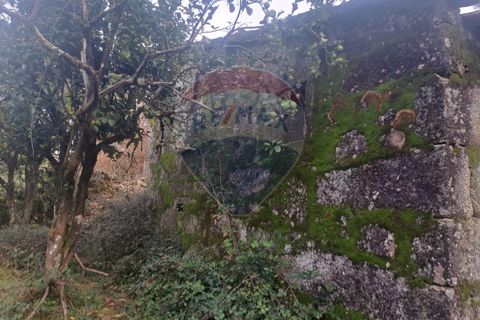 Landejendom i Arcos de Valdevez, Viana do Castelo, Arcos de Valdevez - € 52.000 | Ref: 1084-57 - foto 5