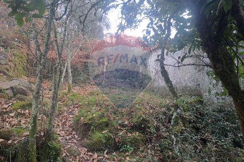 Landejendom i Arcos de Valdevez, Viana do Castelo, Arcos de Valdevez - € 52.000 | Ref: 1084-57 - foto 6