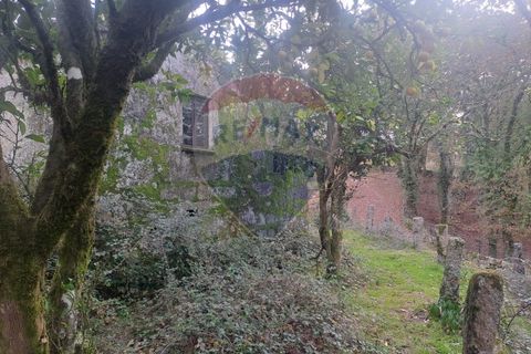 Landejendom i Arcos de Valdevez, Viana do Castelo, Arcos de Valdevez - € 52.000 | Ref: 1084-57 - foto 8