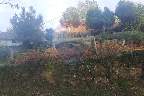 Landejendom i Arcos de Valdevez, Viana do Castelo, Arcos de Valdevez - € 52.000 | Ref: 1084-57 - foto 9