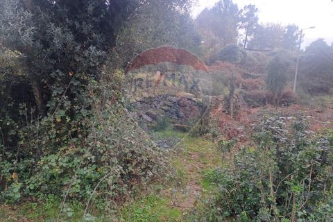 Landejendom i Arcos de Valdevez, Viana do Castelo, Arcos de Valdevez - € 52.000 | Ref: 1084-57 - foto 10