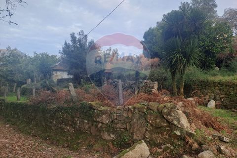 Landejendom i Arcos de Valdevez, Viana do Castelo, Arcos de Valdevez - € 52.000 | Ref: 1084-57 - foto 11