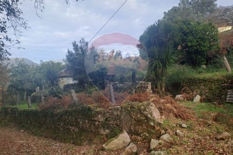 Landejendom i Arcos de Valdevez, Viana do Castelo, Arcos de Valdevez - € 52.000 | Ref: 1084-57 - foto 13