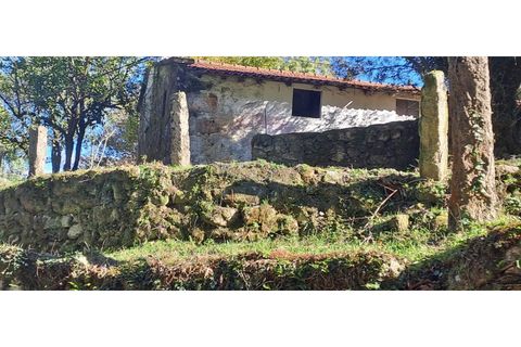 Landejendom i Arcos de Valdevez, Viana do Castelo, Arcos de Valdevez - € 52.000 | Ref: 1084-57 - foto 7