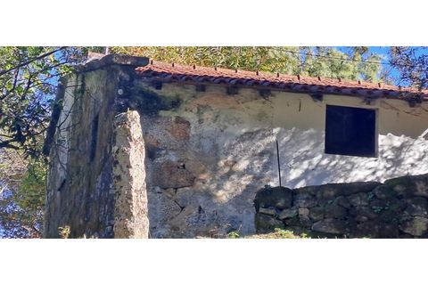 Landejendom i Arcos de Valdevez, Viana do Castelo, Arcos de Valdevez - € 52.000 | Ref: 1084-57 - foto 16