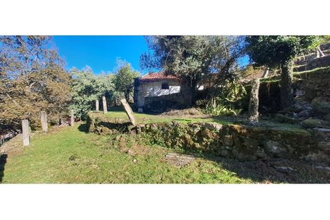 Landejendom i Arcos de Valdevez, Viana do Castelo, Arcos de Valdevez - € 52.000 | Ref: 1084-57 - foto 21