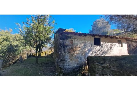 Landejendom i Arcos de Valdevez, Viana do Castelo, Arcos de Valdevez - € 52.000 | Ref: 1084-57 - foto 30