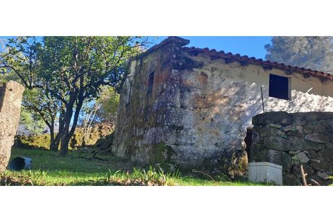 Landejendom i Arcos de Valdevez, Viana do Castelo, Arcos de Valdevez - € 52.000 | Ref: 1084-57 - foto 33