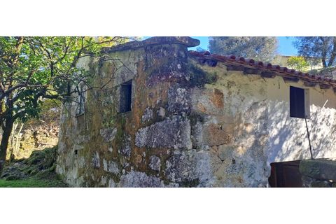 Landejendom i Arcos de Valdevez, Viana do Castelo, Arcos de Valdevez - € 52.000 | Ref: 1084-57 - foto 36