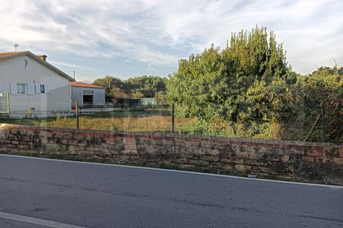 Helårsgrund i Oia, Aveiro, Oia - € 38.000 | Ref: AV25/182 - foto 3