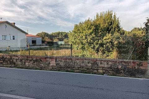 Helårsgrund i Oia, Aveiro, Oia - € 38.000 | Ref: AV25/182 - foto 4