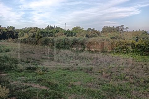 Helårsgrund i Oia, Aveiro, Oia - € 38.000 | Ref: AV25/182 - foto 6