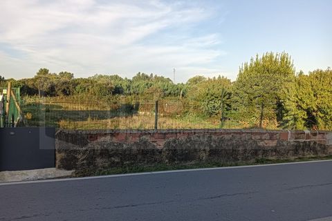 Helårsgrund i Oia, Aveiro, Oia - € 38.000 | Ref: AV25/182 - foto 7