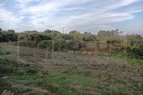 Helårsgrund i Oia, Aveiro, Oia - € 38.000 | Ref: AV25/182 - foto 15