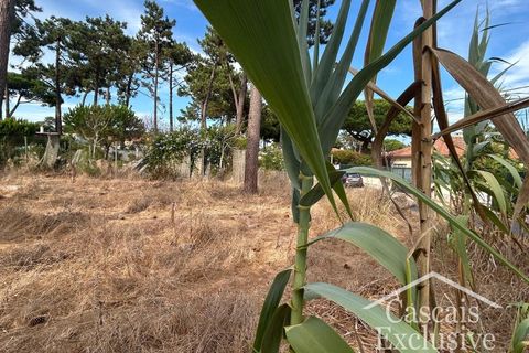 Helårsgrund i Almocageme, Lisbon, Almocageme - € 499.000 | Ref: SÒL_87 - foto 29