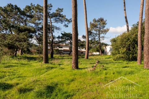 Helårsgrund i Almocageme, Lisbon, Almocageme - € 499.000 | Ref: SÒL_87 - foto 13