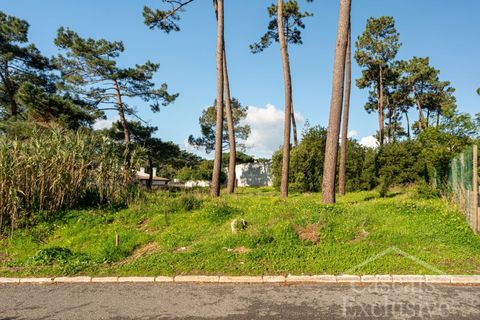 Helårsgrund i Almocageme, Lisbon, Almocageme - € 499.000 | Ref: SÒL_87 - foto 17