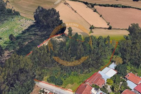 Helårsgrund i Ovar, Aveiro, Ovar - € 110.000 | Ref: T/0841 - foto 2