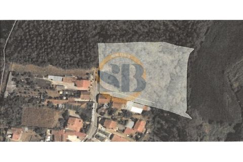 Helårsgrund i Ovar, Aveiro, Ovar - € 110.000 | Ref: T/0841 - foto 3