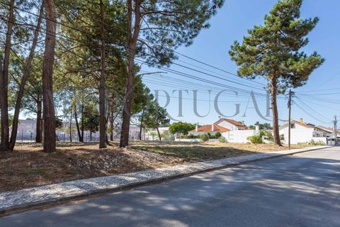 Helårsgrund i Quinta do Conde, Setubal, Quinta do Conde - € 48.000 | Ref: TER_565 - foto 2