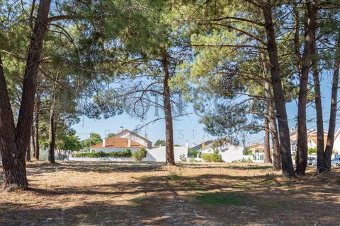 Helårsgrund i Quinta do Conde, Setubal, Quinta do Conde - € 48.000 | Ref: TER_565 - foto 4