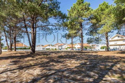 Helårsgrund i Quinta do Conde, Setubal, Quinta do Conde - € 48.000 | Ref: TER_565 - foto 7