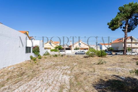 Helårsgrund i Quinta do Conde, Setubal, Quinta do Conde - € 48.000 | Ref: TER_565 - foto 11