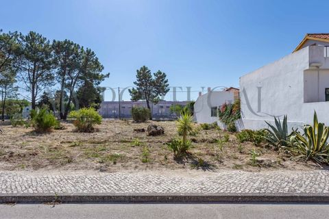 Helårsgrund i Quinta do Conde, Setubal, Quinta do Conde - € 48.000 | Ref: TER_565 - foto 12