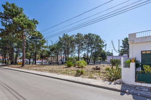 Helårsgrund i Quinta do Conde, Setubal, Quinta do Conde - € 48.000 | Ref: TER_565 - foto 13