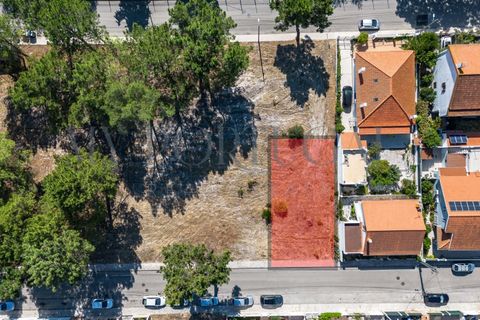 Helårsgrund i Quinta do Conde, Setubal, Quinta do Conde - € 48.000 | Ref: TER_565 - foto 25