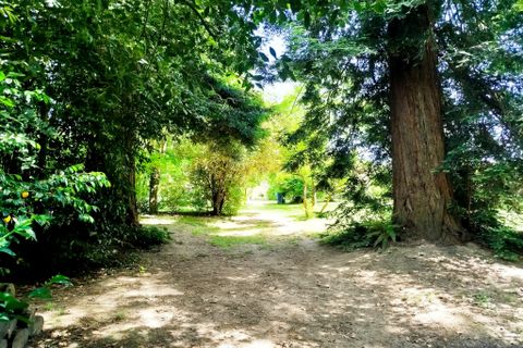 Villa i Pineuilh, Gironde, Pineuilh - € 352.500 | Ref: 35604 - foto 31