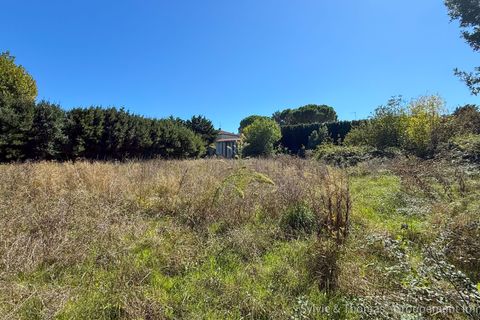 Helårsgrund i Caderousse, Vaucluse, Caderousse - € 234.000 | Ref: 35841 - foto 3