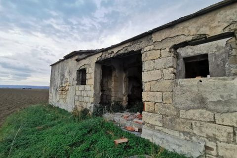 Terra a Lentini, Siracusa, Lentini - € 60.000 | Ref: 2537336 - foto 4