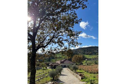 Farm i Gestaco, Porto, Gestaco - € 830.000 | Ref: VIL_52779 - foto 7