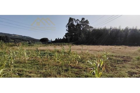 Helårsgrund i Torres Vedras, Lisbon, Torres Vedras - € 149.000 | Ref: 25GD2034 - foto 5