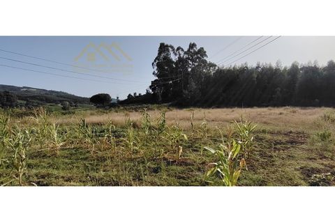 Helårsgrund i Torres Vedras, Lisbon, Torres Vedras - € 149.000 | Ref: 25GD2034 - foto 8