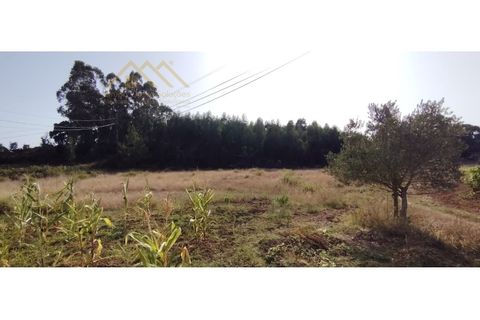 Helårsgrund i Torres Vedras, Lisbon, Torres Vedras - € 149.000 | Ref: 25GD2034 - foto 10