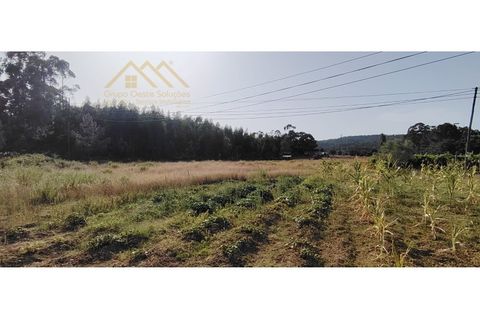 Helårsgrund i Torres Vedras, Lisbon, Torres Vedras - € 149.000 | Ref: 25GD2034 - foto 12