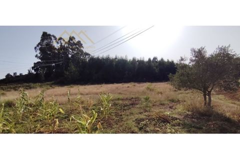 Helårsgrund i Torres Vedras, Lisbon, Torres Vedras - € 149.000 | Ref: 25GD2034 - foto 13
