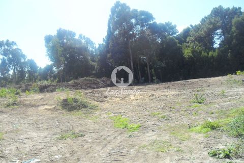 Helårsgrund i Vila do Conde, Porto, Vila do Conde - € 250.000 | Ref: 240-T-25943 - foto 1