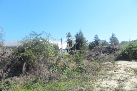 Helårsgrund i Vila do Conde, Porto, Vila do Conde - € 250.000 | Ref: 240-T-25943 - foto 3