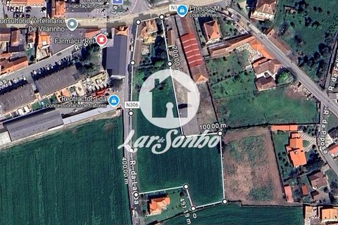 Helårsgrund i Vila do Conde, Porto, Vila do Conde - € 1.500.000 | Ref: 240-T-25948 - foto 12
