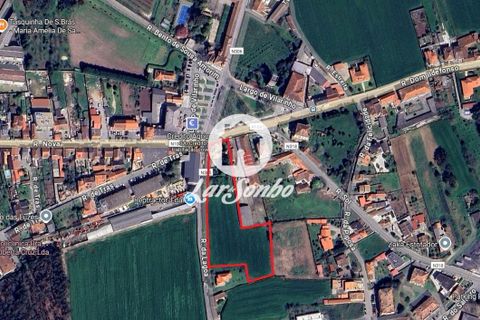 Helårsgrund i Vila do Conde, Porto, Vila do Conde - € 1.500.000 | Ref: 240-T-25948 - foto 13
