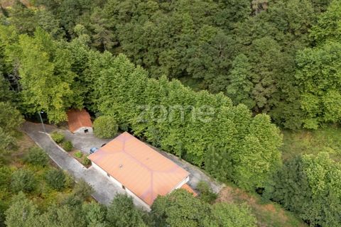 Gård i Alvite e Passos, Braga, Alvite e Passos - € 385 000 | Ref: ZMPT581693 - foto 4