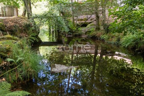 Gård i Alvite e Passos, Braga, Alvite e Passos - € 385 000 | Ref: ZMPT581693 - foto 2