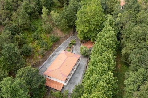Gård i Alvite e Passos, Braga, Alvite e Passos - € 385 000 | Ref: ZMPT581693 - foto 6