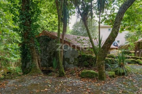 Gård i Alvite e Passos, Braga, Alvite e Passos - € 385 000 | Ref: ZMPT581693 - foto 8