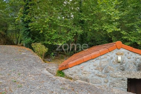 Gård i Alvite e Passos, Braga, Alvite e Passos - € 385 000 | Ref: ZMPT581693 - foto 9