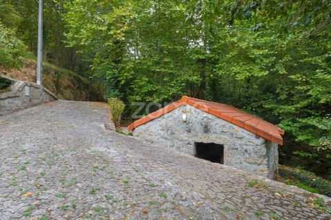 Gård i Alvite e Passos, Braga, Alvite e Passos - € 385 000 | Ref: ZMPT581693 - foto 10